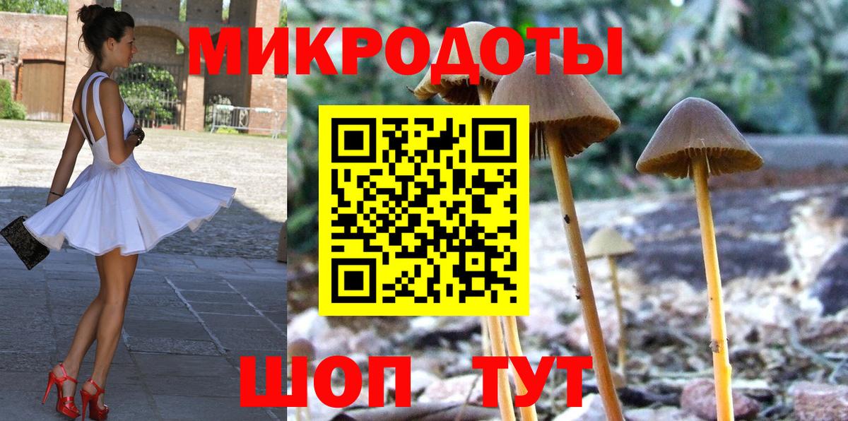 Ефремов  Псилоцибиновые грибы ЛСД  Вход с VPN  Псилоцибиновые грибы Psilocybe 